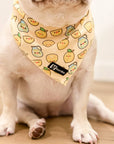 Cooling Dog Bandana - Lemonade: S/M