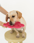 Hot Pink Paw Print Enrichment Lick Mat