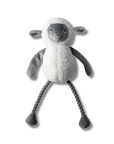 Little Lamby