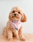 Cooling Dog Bandana - Taro Milk Tea: M/L