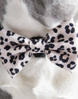 Dog Bow Tie - Leopard: M/L