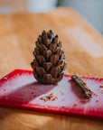 Loblolly Pinecone Puzzle Dog Toy
