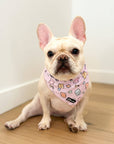 Cooling Dog Bandana - Gummy Bear: M/L