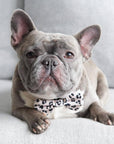 Dog Bow Tie - Leopard: M/L