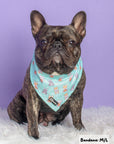 Cooling Dog Bandana - Dream Team: S/M