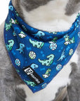 Cooling Dog Bandana - Dino: S/M