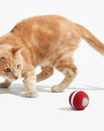 Cheerble Ball M3: Red