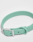 Adjustable Waterproof Fashion Dog Collar