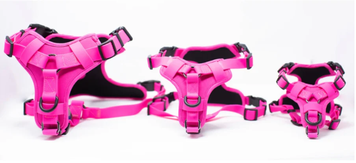 Comfort Harness
