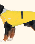 Harbour Slicker Dog Rain Coat