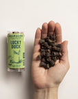 Lucky Duck (Bits)