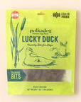 Lucky Duck (Bits)