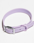 Adjustable Waterproof Fashion Dog Collar