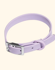 Adjustable Waterproof Fashion Dog Collar