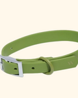 Adjustable Waterproof Fashion Dog Collar