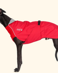 Harbour Slicker Dog Rain Coat