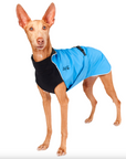 Harbour Slicker Dog Rain Coat
