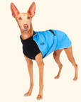 Harbour Slicker Dog Rain Coat