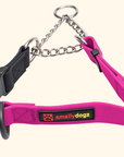 Martingale Collar