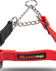 Martingale Collar