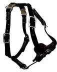 All Weather Biothane Harness