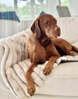 Blanket Topper (Medium)