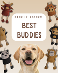 All-Natural Besties: Plucky Ducky