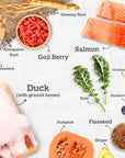 Salmon & Duck Harmony Recipe - Boost with Ginseng (383g/13.5oz)