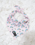 Cooling Dog Bandana - Over The Rainbow: S/M