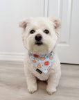 Cooling Dog Bandana - Pizza: S/M