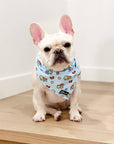 Cooling Dog Bandana - Under The Sea: M/L