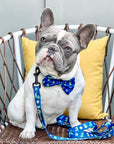 Dog Bow Tie - Dino: M/L