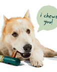 The BullySafe