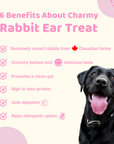 Rabbit Ear