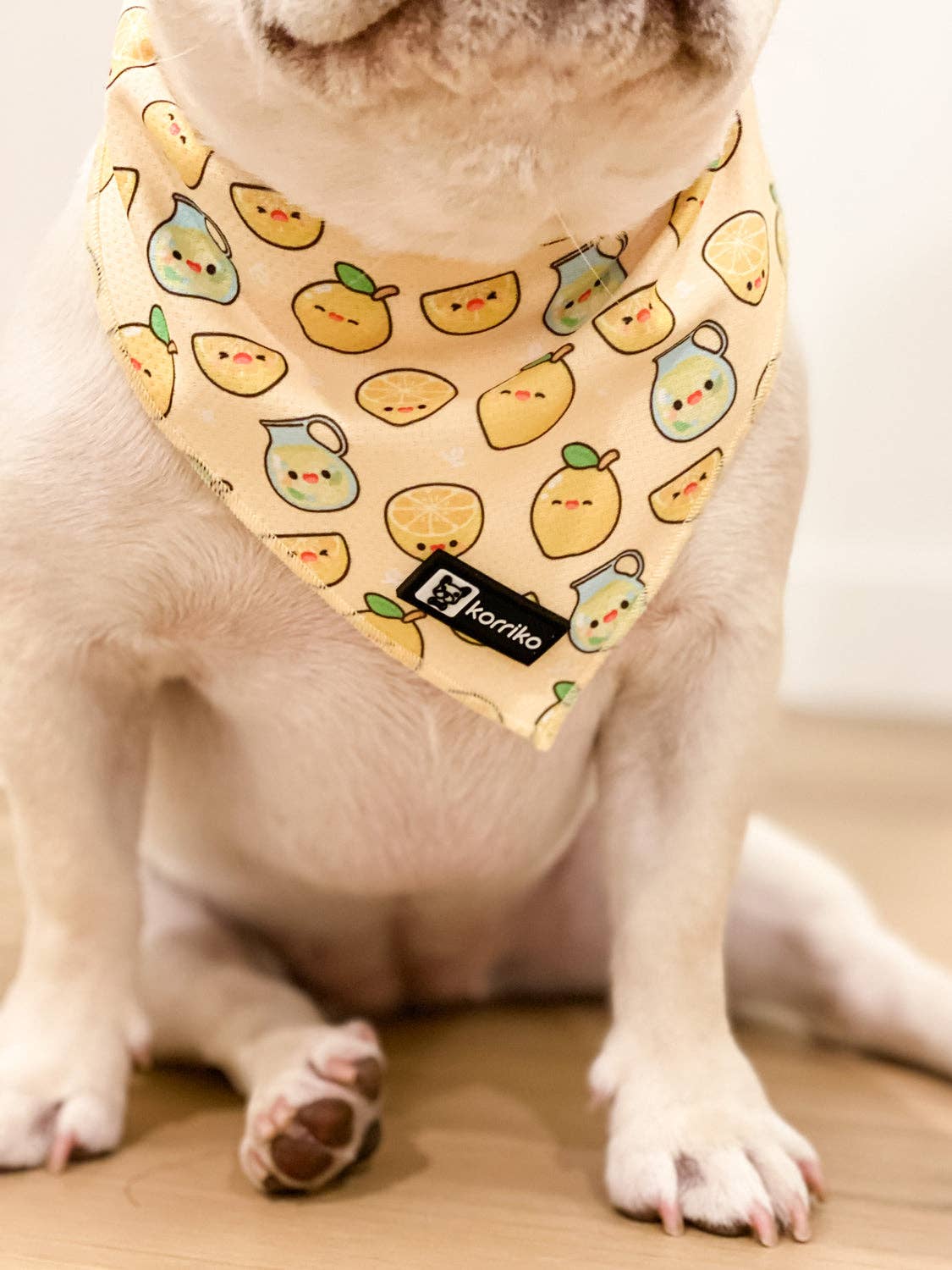 Cooling Dog Bandana - Lemonade: M/L