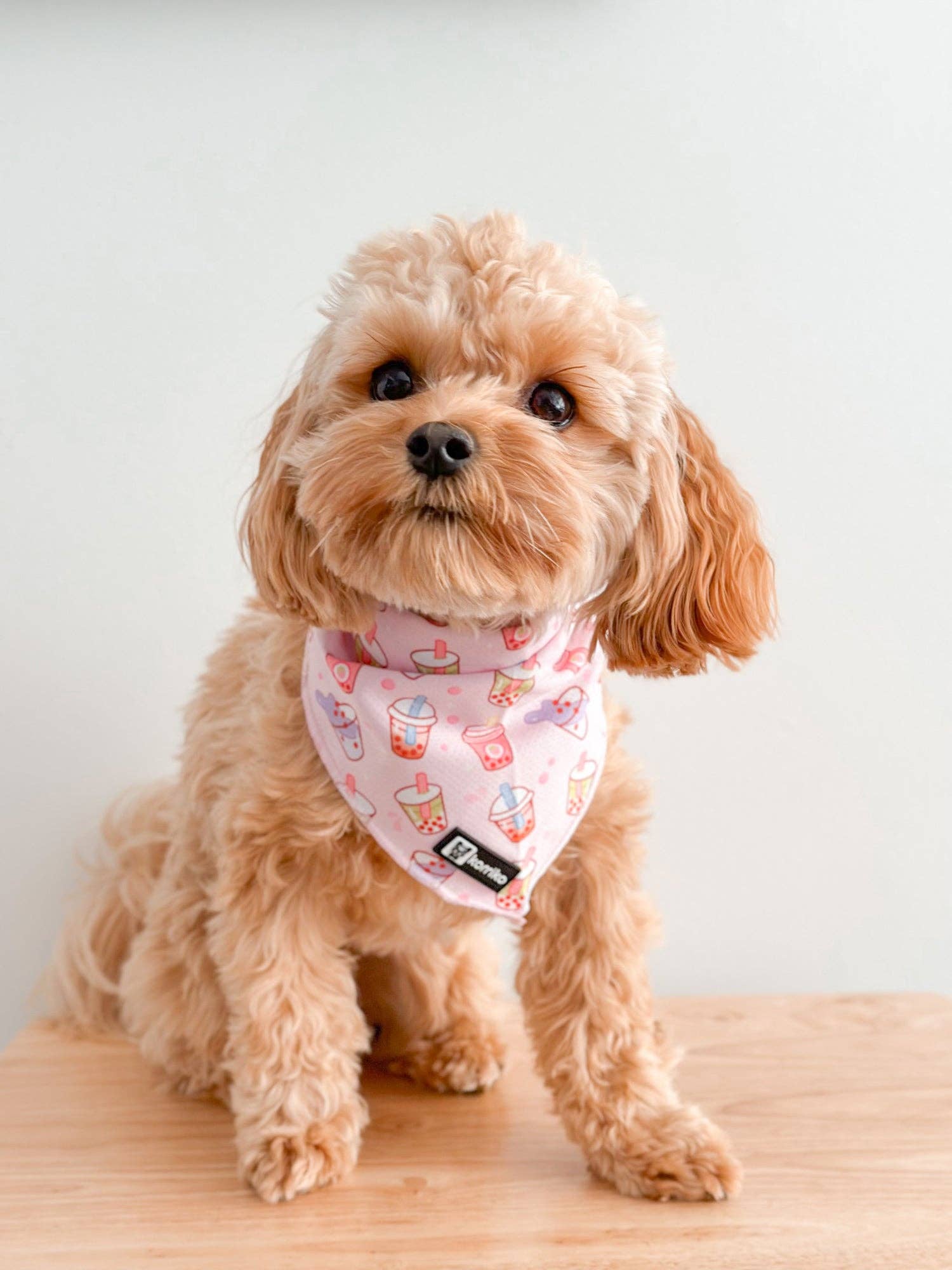 Cooling Dog Bandana - Taro Milk Tea: M/L