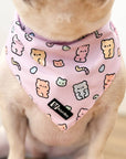 Cooling Dog Bandana - Gummy Bear: M/L