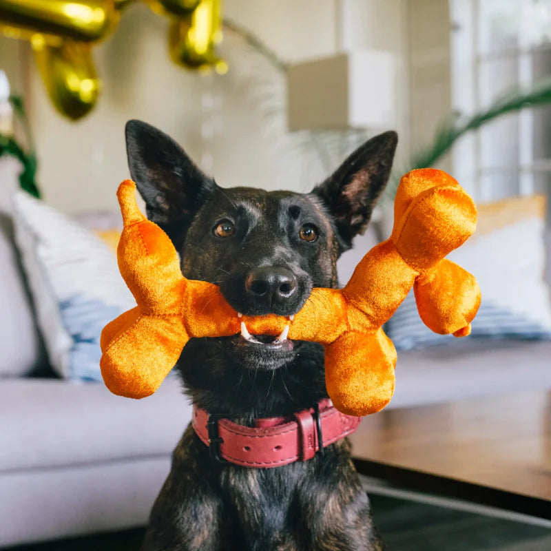 Party Animal - Balloon Dog