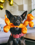 Party Animal - Balloon Dog