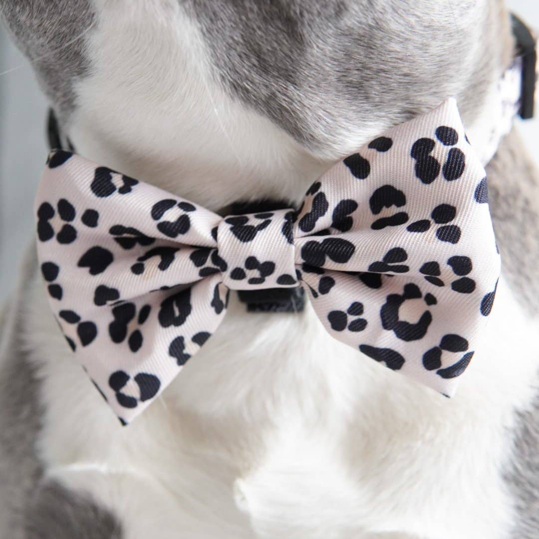 Dog Bow Tie - Leopard: M/L