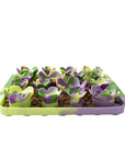Succulent Silicone Foraging Mat