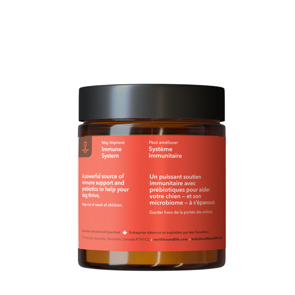 Immune Support + | Turkey Tail Mushroom: Single Jar - 90 g