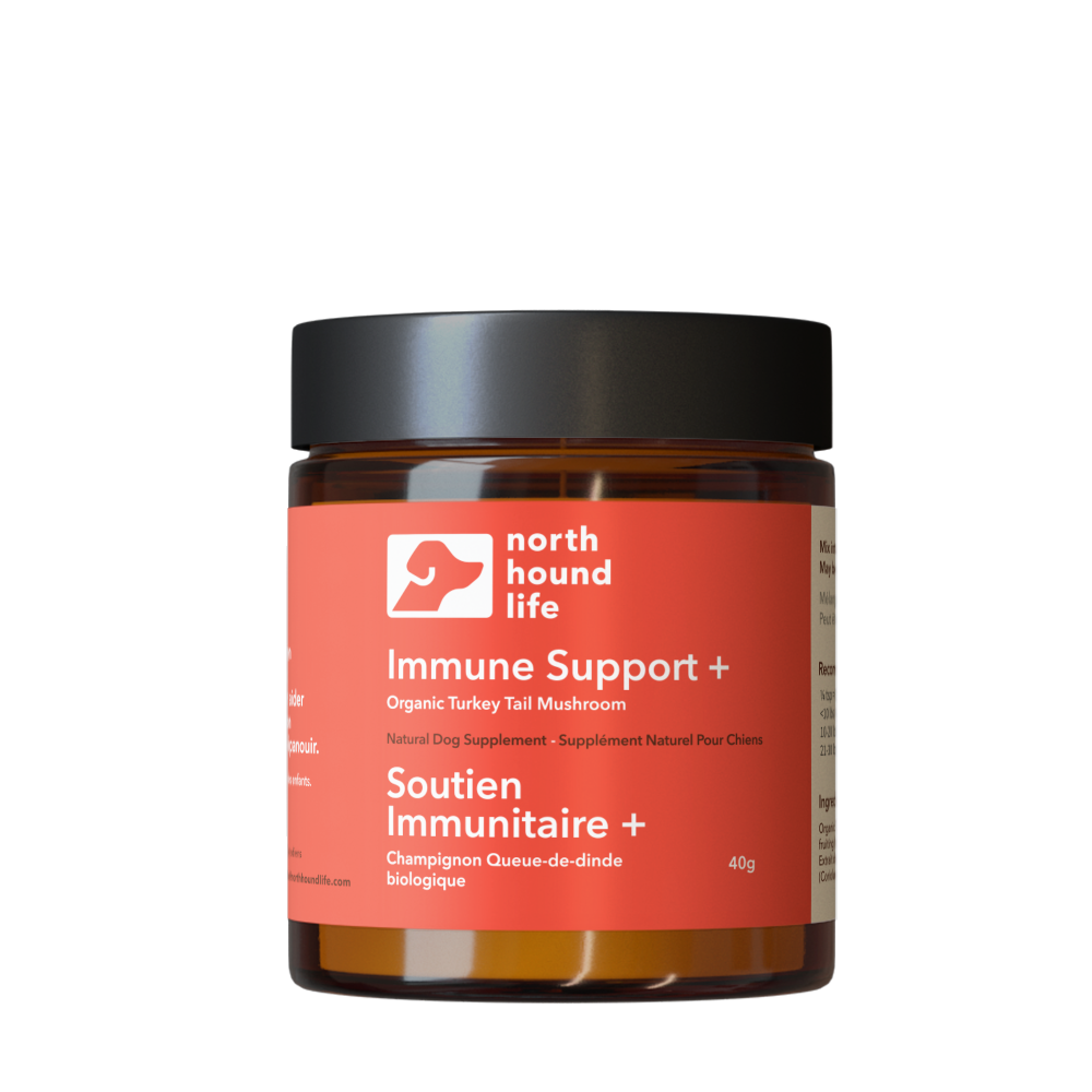 Immune Support + | Turkey Tail Mushroom: Single Jar - 90 g