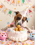 Party Pupsicle: Blue (XL)