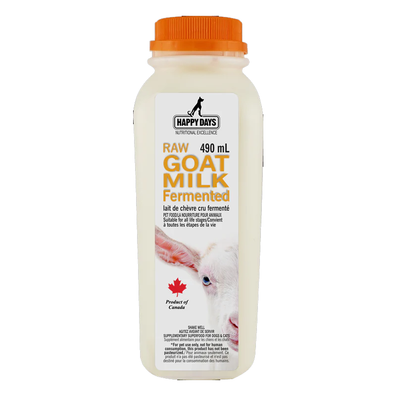 Raw Fermented Goat Milk