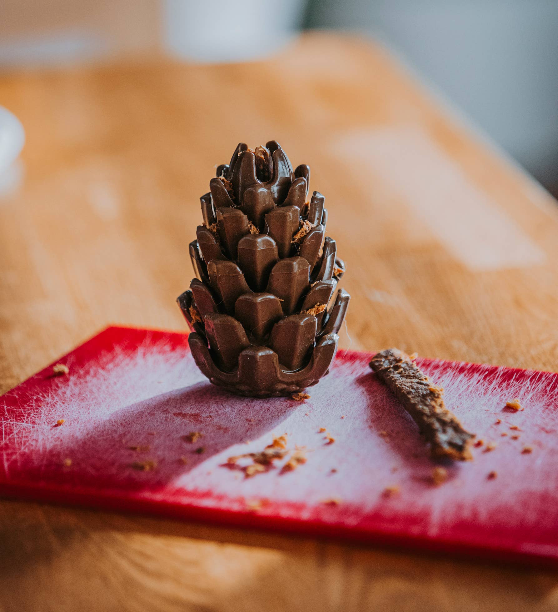 Loblolly Pinecone Puzzle Dog Toy