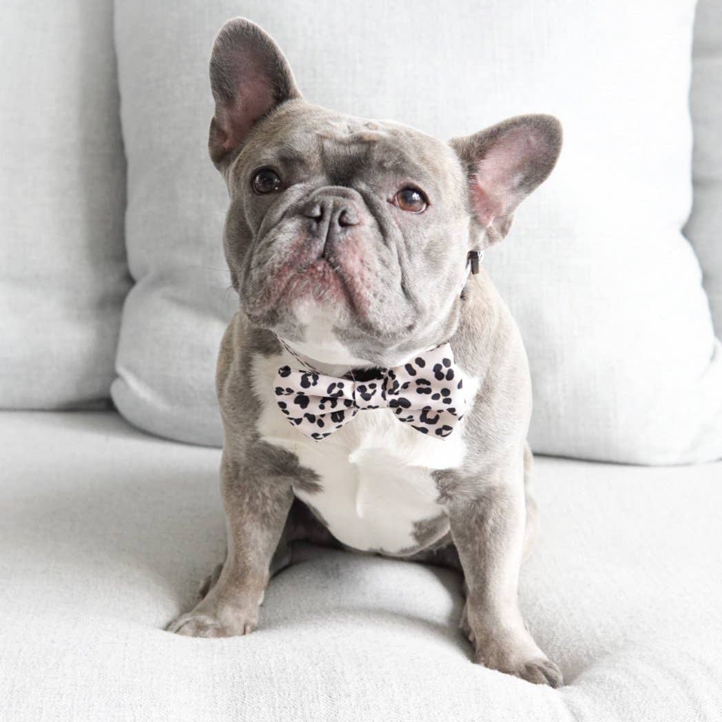 Dog Bow Tie - Leopard: M/L