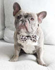 Dog Bow Tie - Leopard: M/L
