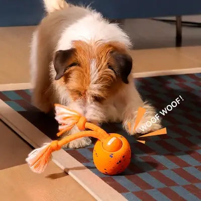 Wicked Ball Rolly: Orange