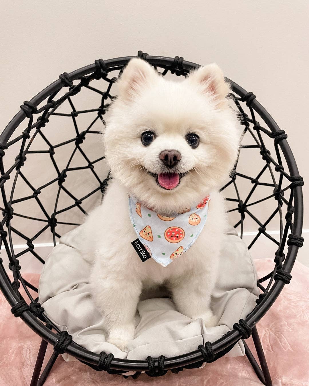 Cooling Dog Bandana - Pizza: M/L